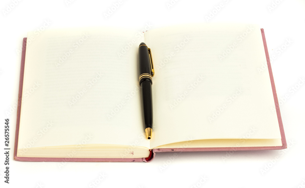 diary and pen diary and pen