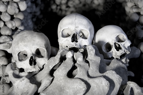 Billede på lærred Skull and bones