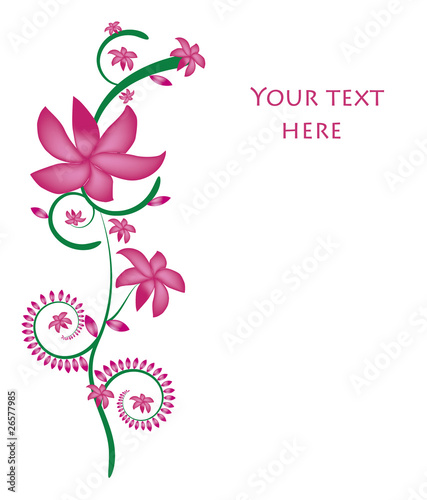 pink border