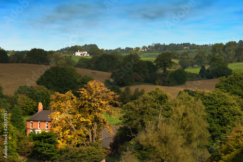 Rolling Hills Landscape