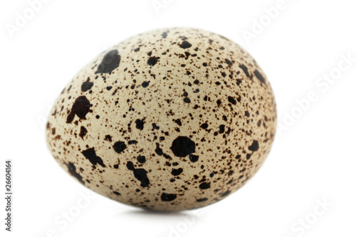 Quail egg