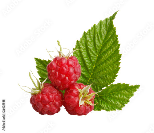 Red raspberry