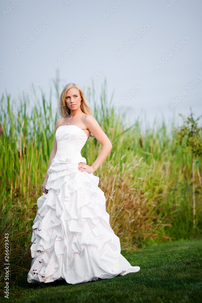 Beautiful bride