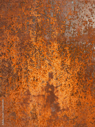 Rost