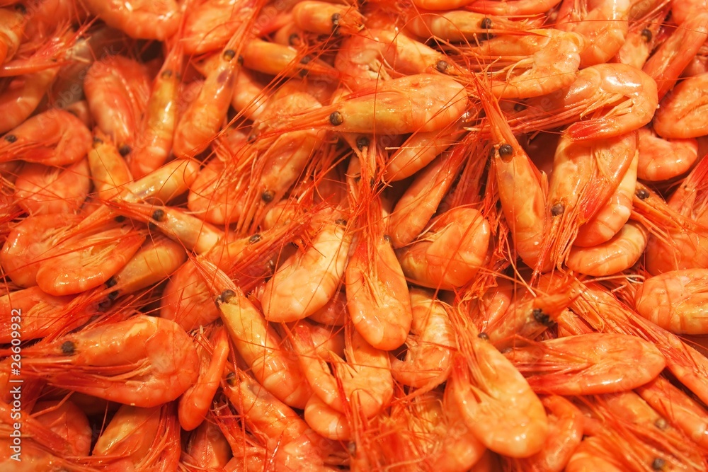 Shrimps Shrimps
