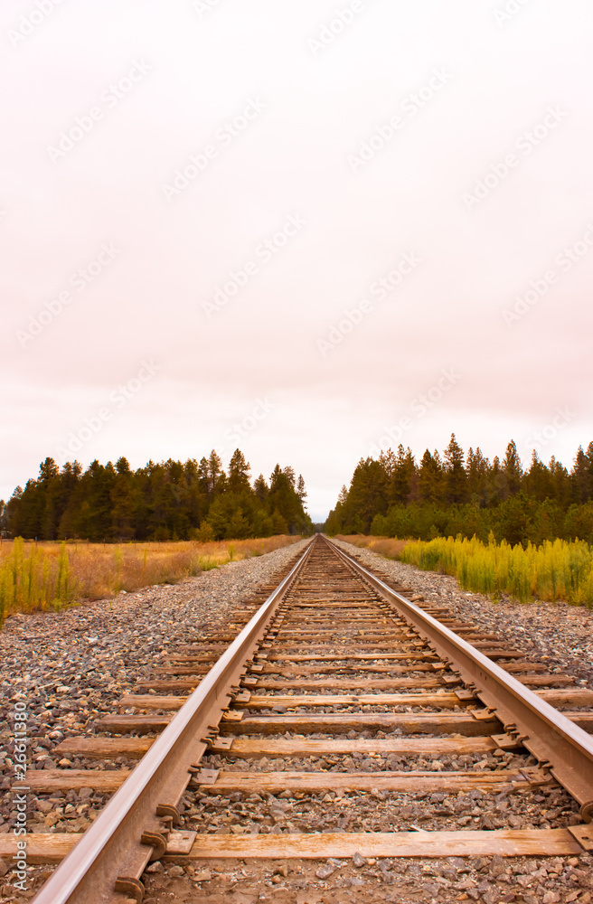 Train Tracks