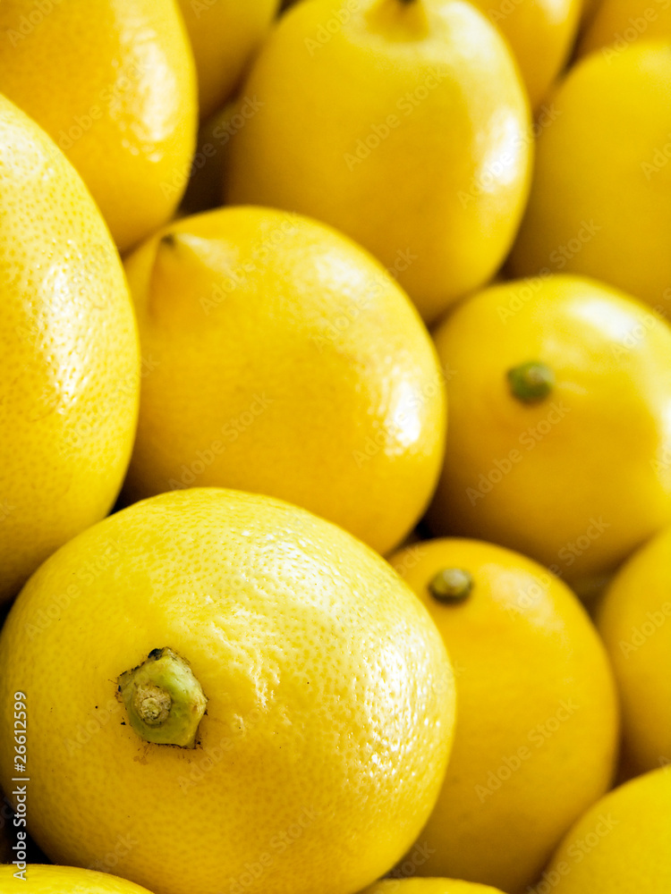 lemon vertical macro lemon vertical macro