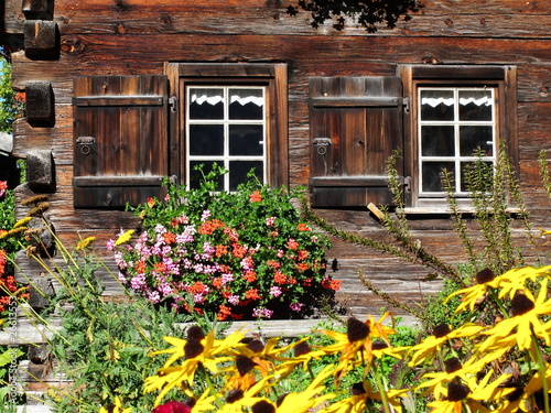 Zwei Fenster mit Blumen an altem Bauernhaus