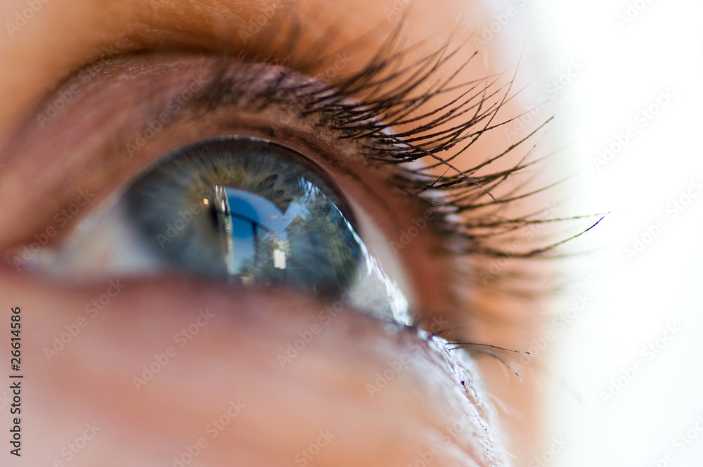 Fototapeta premium regard bleu