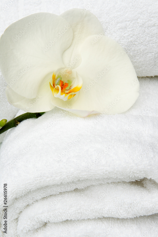 orchidea bianca su telo bagno orchidea bianca su telo bagno