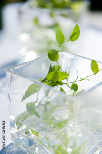 Elegant Table Decoration with Leaves in Glasses