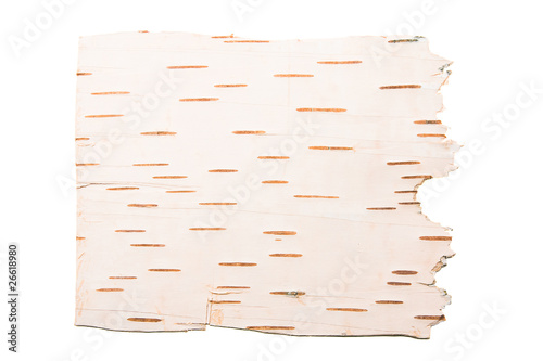 The cleared birch bark