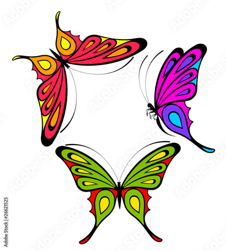 Tropical butterfly. Vector illustration
