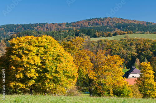 Fototapeta Naklejka Na Ścianę i Meble -  Autumn Countryside