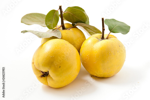 Tableau sur toile Fresh yellow quinces