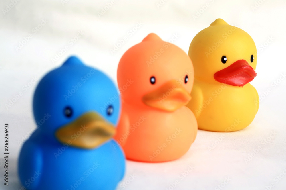 Duck toy Duck toy