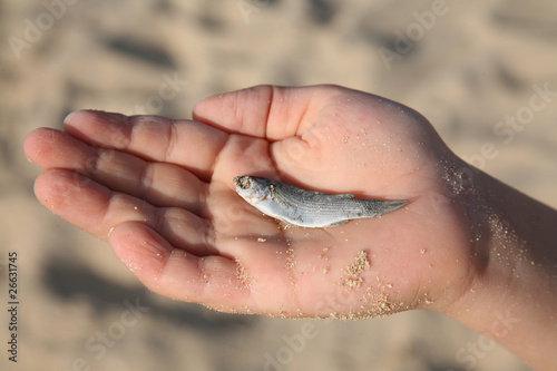 Fisch in der Hand1