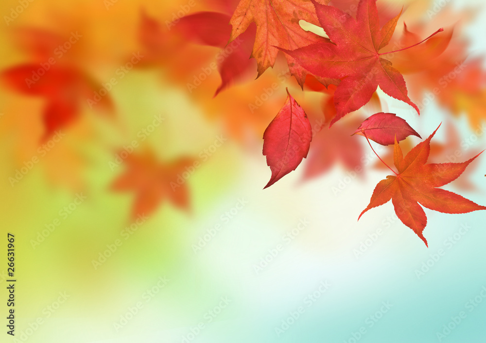 Beautiful Autumn Background