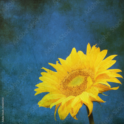 vintage image of sunflower on grunge background