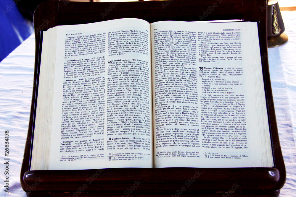 Obraz premium Holy bible