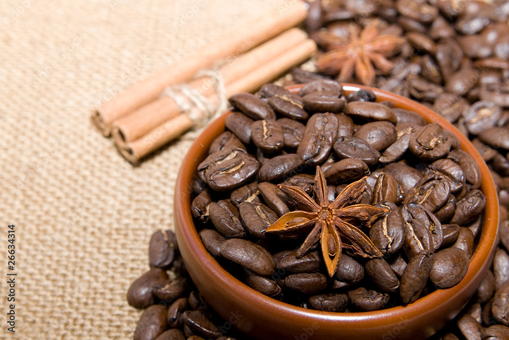 Coffee grains and spices: cinnamon and star anise Coffee grains and spices: cinnamon and star anise