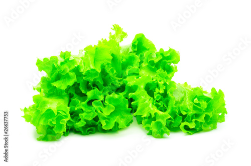 bunch of green salad isolated over white