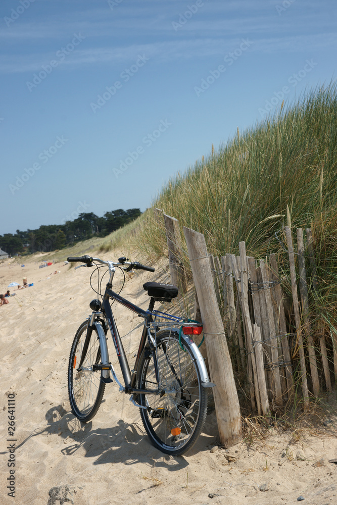 Fototapeta premium paysage plage 52