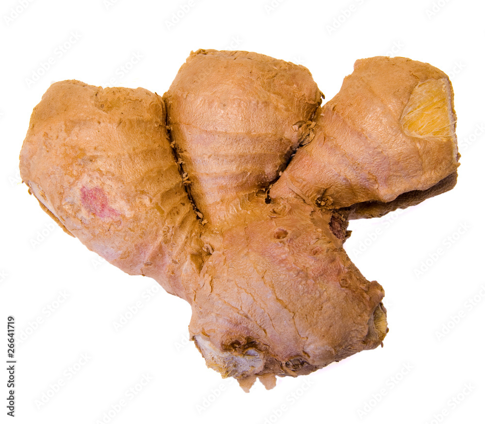 Root Ginger Root Ginger