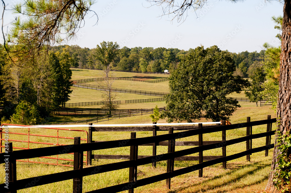 Pasture Fence