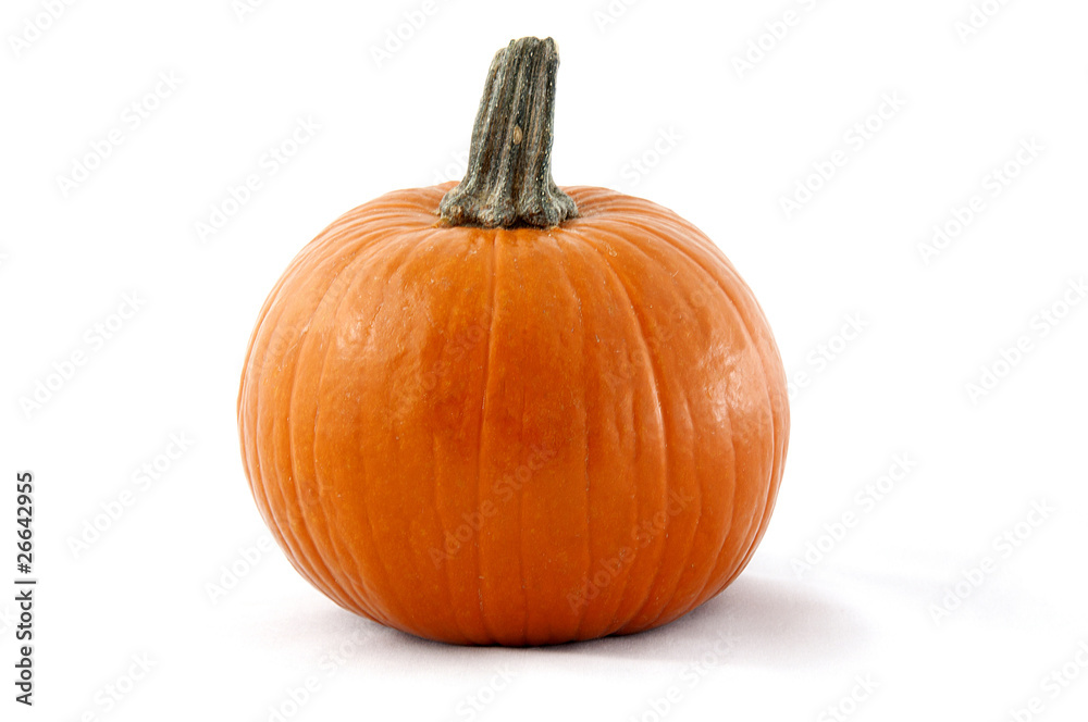 Pumpkin Pumpkin