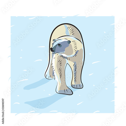 polar bear