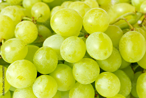 Εκτύπωση καμβά green grape closeup