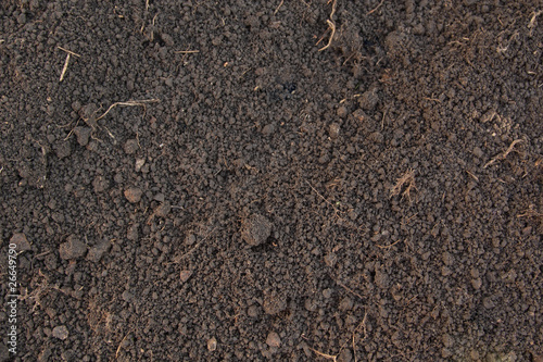 Fotografi Pattern of humus soil