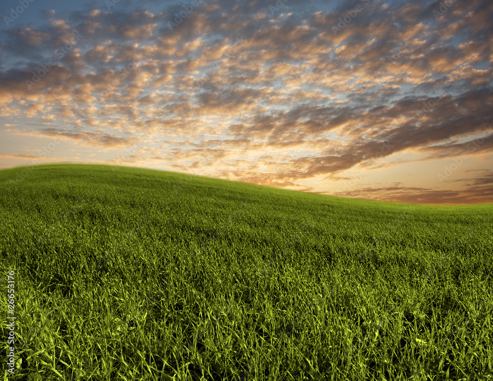 Obraz premium landscape