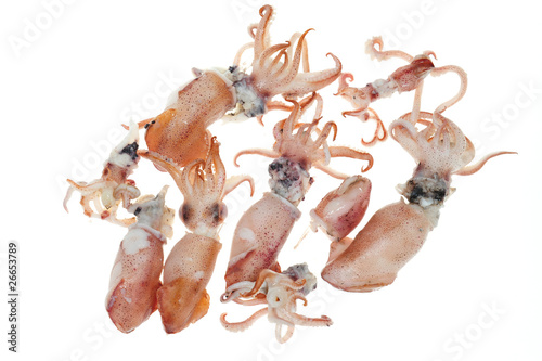 Steamed Squids On White background © axway