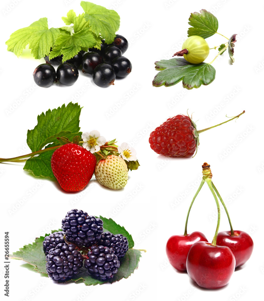 berries berries
