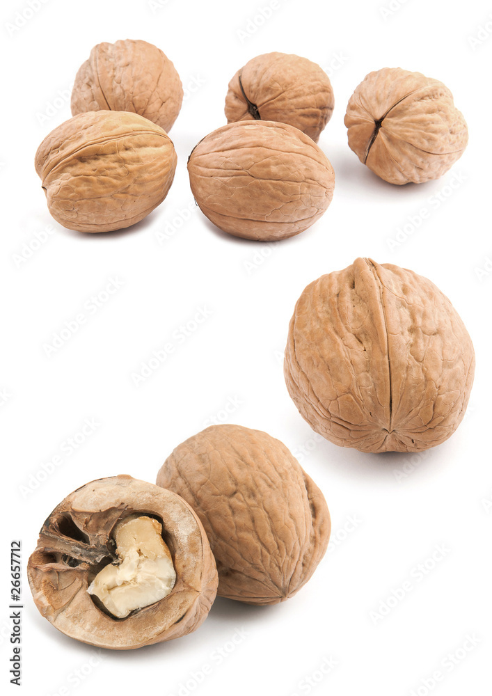 Circassian walnut isolated on the white background Circassian walnut isolated on the white background