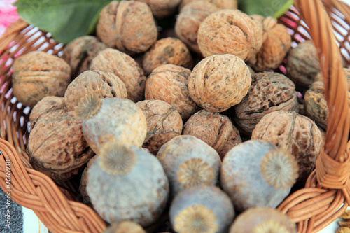 A pile of walnuts and poppy