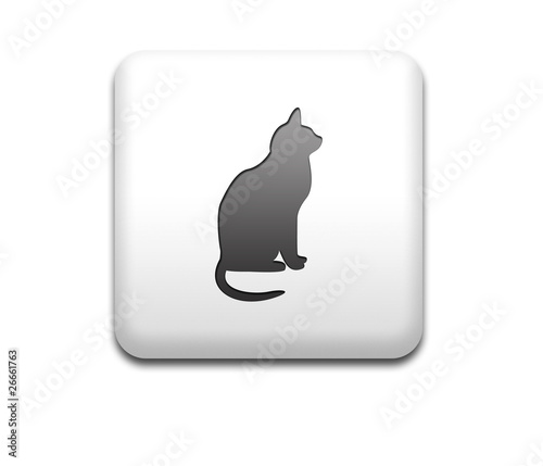 Boton cuadrado blanco gato negro