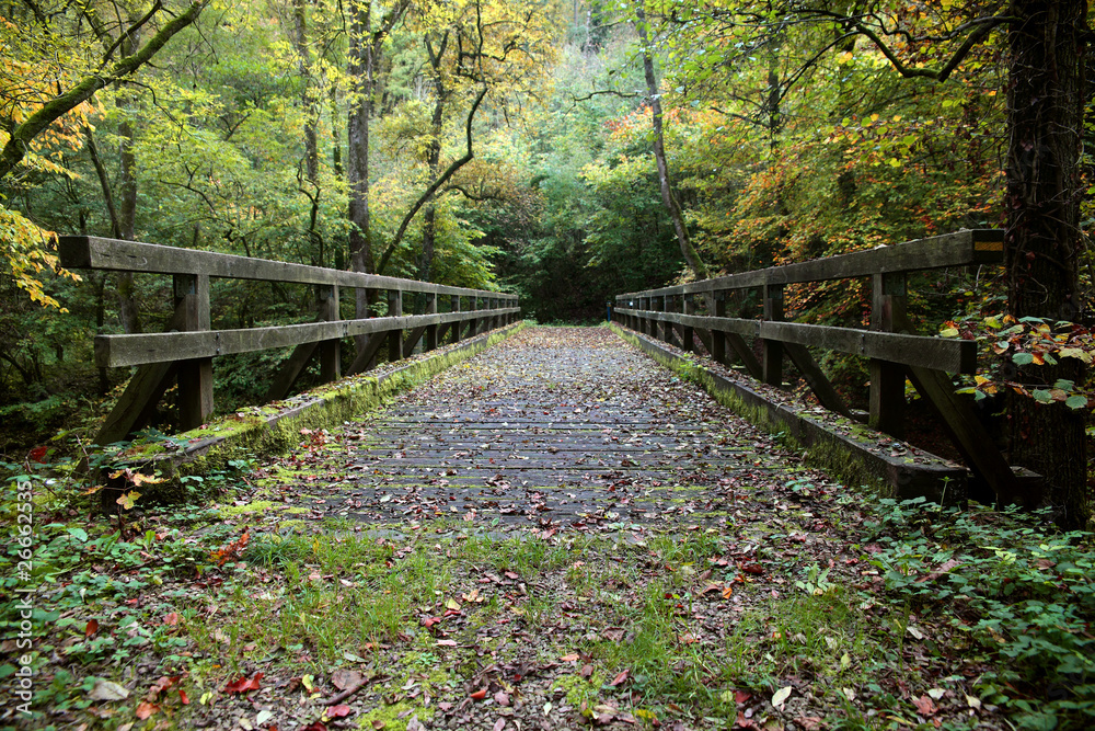 Fototapeta Brücke im Herbst