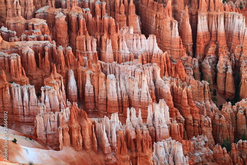 detailed view of Bryce Canyon bright red ground