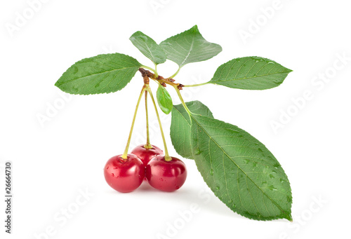 Red cherry