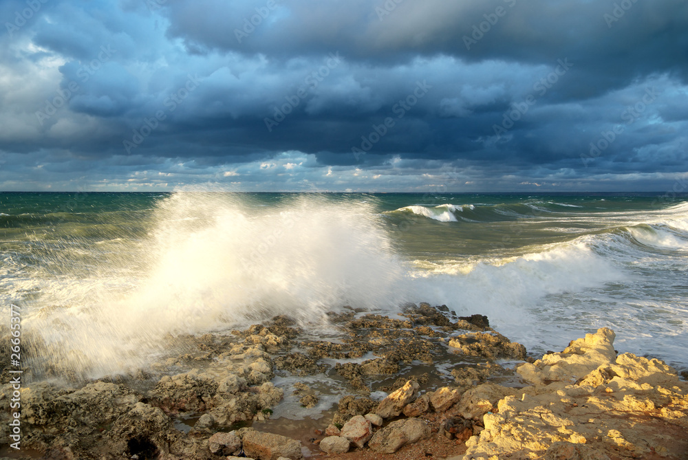 Fototapeta premium Storm on the sea