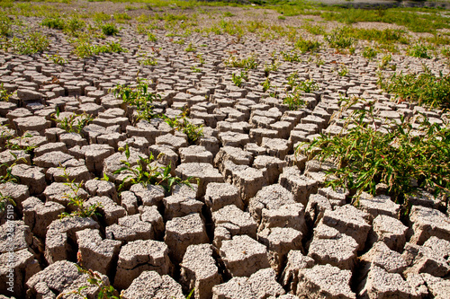 Global warming concept of cracked ground