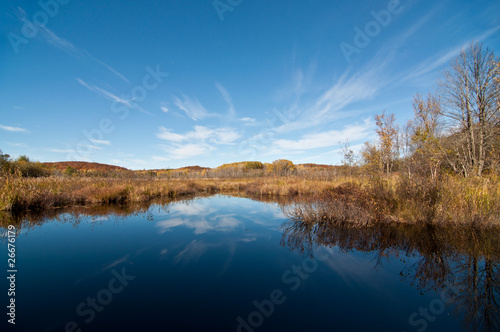 Autumn Landscape with Pond and Reflections
