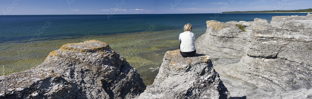 felsdnadeln in schweden