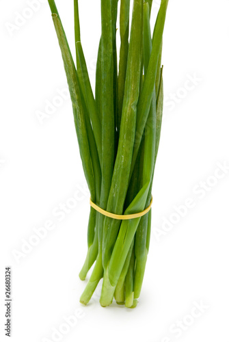 Bunch of green onion isolated on the white background