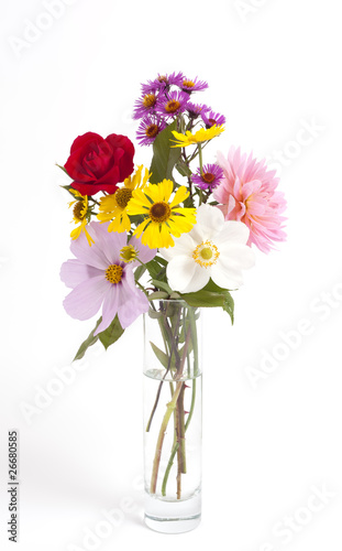 Fototapeta Naklejka Na Ścianę i Meble -  flowers