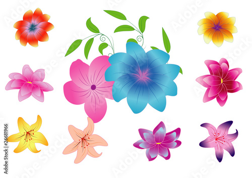 vector illustration with flowers