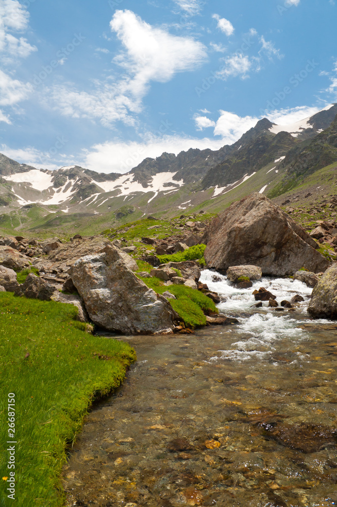 A stream with grass